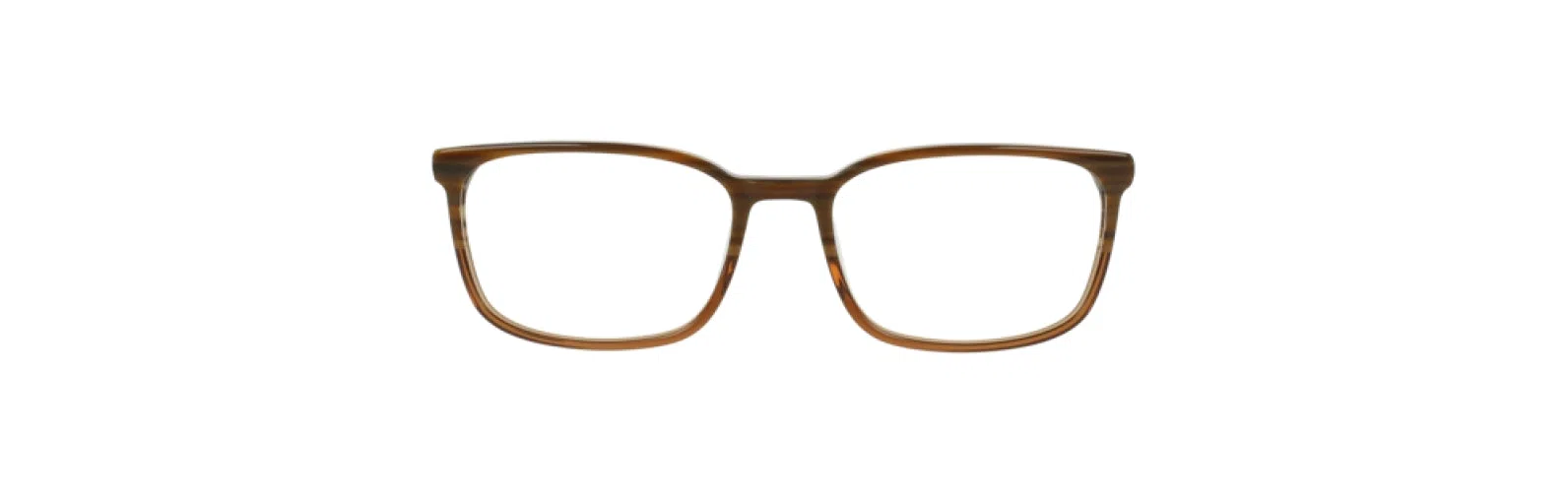 Argyleculture ARWRAY Eyeglasses - view 6